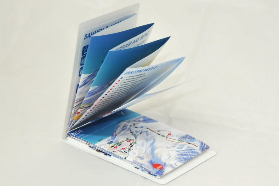 twin-card-von-hinten